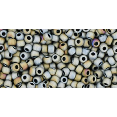 TOHO Rocailles 11/0 (#613) Matte-Color Iris Gray