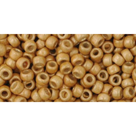 TOHO Rocailles 8/0 (#557FPF) Permanent Finish - Matte Galvanized Starl