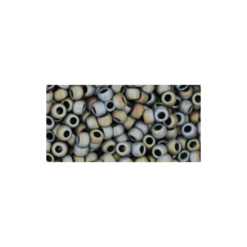 TOHO Rocailles 8/0 (#613) Matte-Color Iris Gray